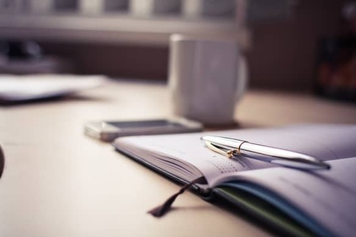 Consultation initiale (30 min)